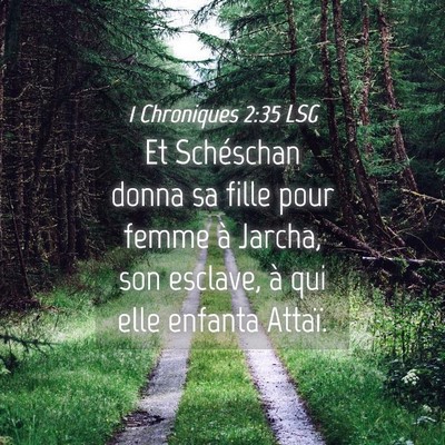 Picture 04 - 1 Chroniques 2:35 LSG - Et Schéschan donna sa fille pour femme à - Bible Verse Picture