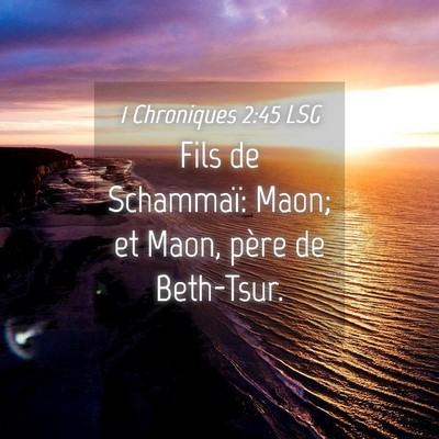 Picture 04 - 1 Chroniques 2:45 LSG - Fils de Schammaï: Maon; et Maon, père de - Bible Verse Picture