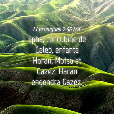 Picture 04 - 1 Chroniques 2:46 LSG - Epha, concubine de Caleb, enfanta Haran, Motsa et - Bible Verse Picture