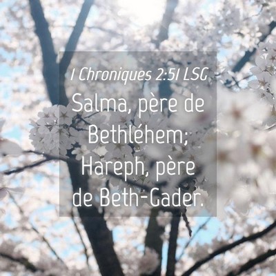 Picture 04 - 1 Chroniques 2:51 LSG - Salma, père de Bethléhem; Hareph, père de - Bible Verse Picture