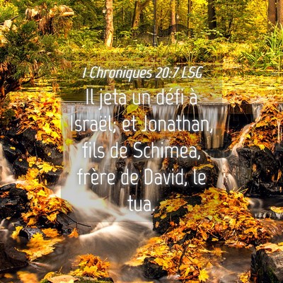 Picture 04 - 1 Chroniques 20:7 LSG - Il jeta un défi à Israël; et Jonathan, fils de - Bible Verse Picture