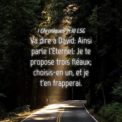 Picture 04 - 1 Chroniques 21:10 LSG - Va dire à David: Ainsi parle l'Eternel: Je te - Bible Verse Picture