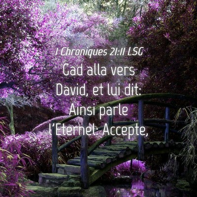Picture 04 - 1 Chroniques 21:11 LSG - Gad alla vers David, et lui dit: Ainsi parle - Bible Verse Picture