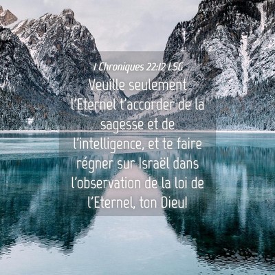 Picture 04 - 1 Chroniques 22:12 LSG - Veuille seulement l'Eternel t'accorder de la - Bible Verse Picture