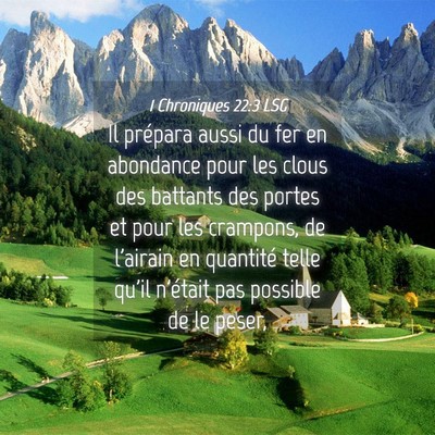 Picture 04 - 1 Chroniques 22:3 LSG - Il prépara aussi du fer en abondance pour les - Bible Verse Picture