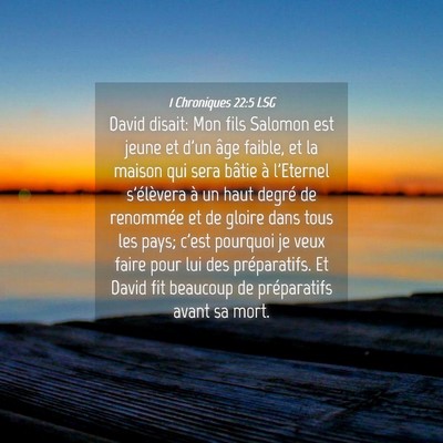 Picture 04 - 1 Chroniques 22:5 LSG - David disait: Mon fils Salomon est jeune et d'un - Bible Verse Picture