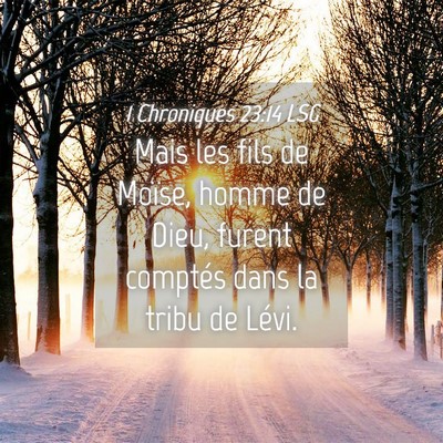 Picture 04 - 1 Chroniques 23:14 LSG - Mais les fils de Moïse, homme de Dieu, furent - Bible Verse Picture