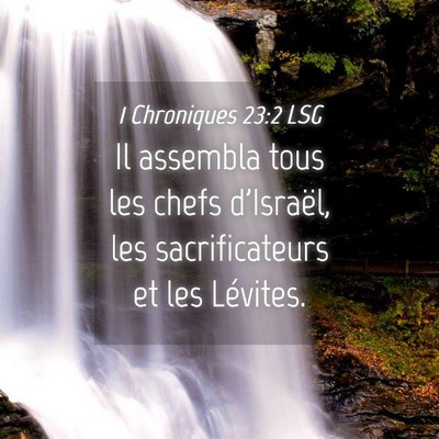 Picture 04 - 1 Chroniques 23:2 LSG - Il assembla tous les chefs d'Israël, les - Bible Verse Picture