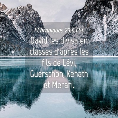 Picture 04 - 1 Chroniques 23:6 LSG - David les divisa en classes d'après les fils de - Bible Verse Picture