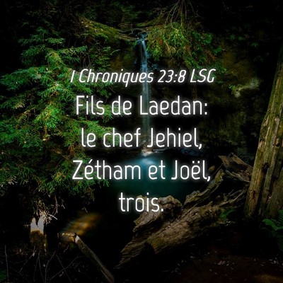 Picture 04 - 1 Chroniques 23:8 LSG - Fils de Laedan: le chef Jehiel, Zétham et Joël, - Bible Verse Picture