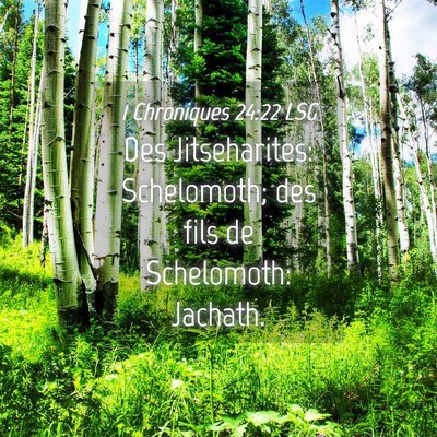 Picture 04 - 1 Chroniques 24:22 LSG - Des Jitseharites: Schelomoth; des fils de - Bible Verse Picture