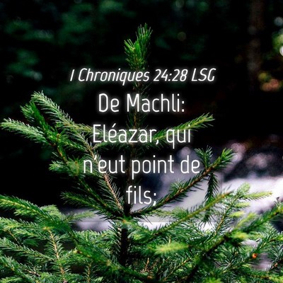 Picture 04 - 1 Chroniques 24:28 LSG - De Machli: Eléazar, qui n'eut point de - Bible Verse Picture