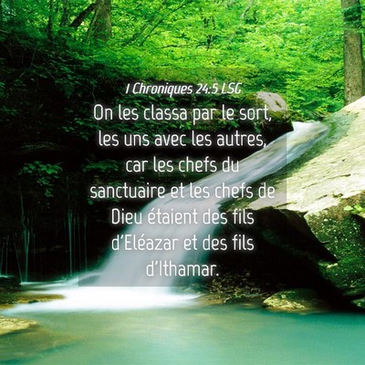 Picture 04 - 1 Chroniques 24:5 LSG - On les classa par le sort, les uns avec les - Bible Verse Picture