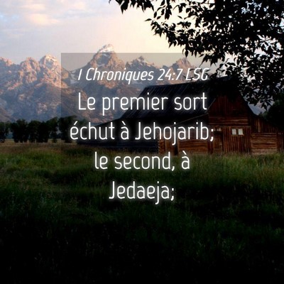 Picture 04 - 1 Chroniques 24:7 LSG - Le premier sort échut à Jehojarib; le second, - Bible Verse Picture