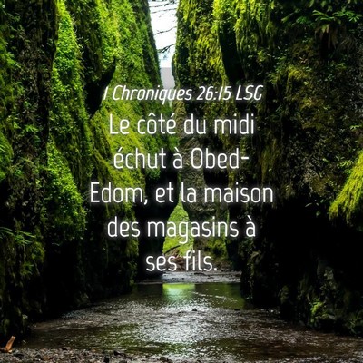 Picture 04 - 1 Chroniques 26:15 LSG - Le côté du midi échut à Obed-Edom, et la - Bible Verse Picture