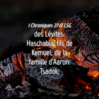 Picture 04 - 1 Chroniques 27:17 LSG - des Lévites: Haschabia, fils de Kemuel; de la - Bible Verse Picture