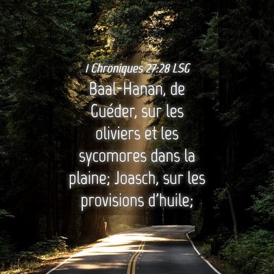 Picture 04 - 1 Chroniques 27:28 LSG - Baal-Hanan, de Guéder, sur les oliviers et les - Bible Verse Picture