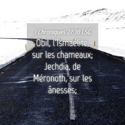 Picture 04 - 1 Chroniques 27:30 LSG - Obil, l'Ismaélite, sur les chameaux; Jechdia, de - Bible Verse Picture
