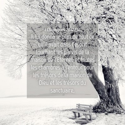 Picture 04 - 1 Chroniques 28:12 LSG - Il lui donna le plan de tout ce qu'il avait dans - Bible Verse Picture