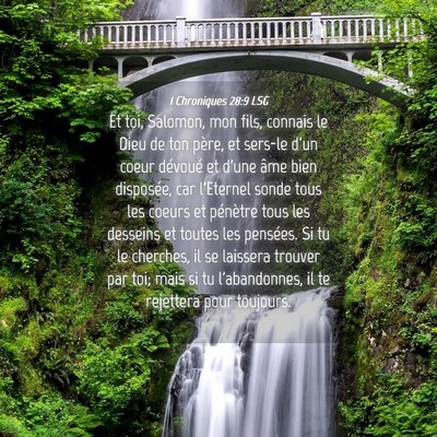 Picture 04 - 1 Chroniques 28:9 LSG - Et toi, Salomon, mon fils, connais le Dieu de ton - Bible Verse Picture