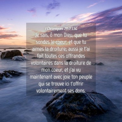 Picture 04 - 1 Chroniques 29:17 LSG - Je sais, ô mon Dieu, que tu sondes le coeur, et - Bible Verse Picture