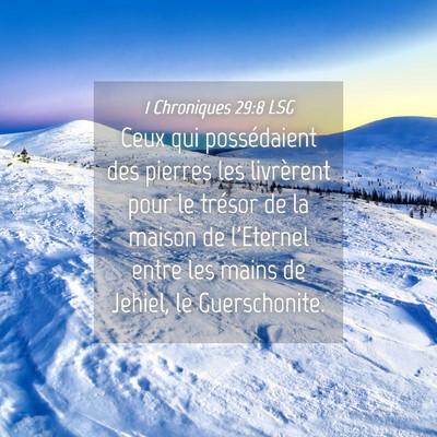 Picture 04 - 1 Chroniques 29:8 LSG - Ceux qui possédaient des pierres les livrèrent - Bible Verse Picture