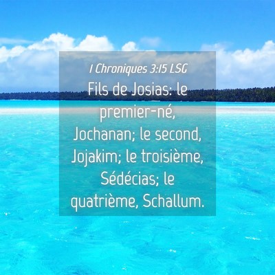 Picture 04 - 1 Chroniques 3:15 LSG - Fils de Josias: le premier-né, Jochanan; le - Bible Verse Picture