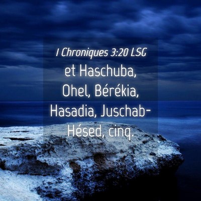 Picture 04 - 1 Chroniques 3:20 LSG - et Haschuba, Ohel, Bérékia, Hasadia, - Bible Verse Picture
