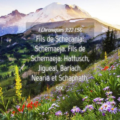 Picture 04 - 1 Chroniques 3:22 LSG - Fils de Schecania: Schemaeja. Fils de Schemaeja: - Bible Verse Picture