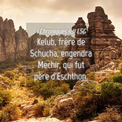 Picture 04 - 1 Chroniques 4:11 LSG - Kelub, frère de Schucha, engendra Mechir, qui - Bible Verse Picture