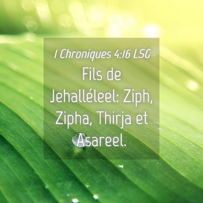 Picture 04 - 1 Chroniques 4:16 LSG - Fils de Jehalléleel: Ziph, Zipha, Thirja et - Bible Verse Picture
