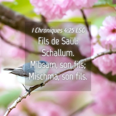 Picture 04 - 1 Chroniques 4:25 LSG - Fils de Saül: Schallum. Mibsam, son fils; - Bible Verse Picture