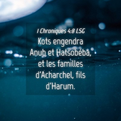 Picture 04 - 1 Chroniques 4:8 LSG - Kots engendra Anub et Hatsobéba, et les familles - Bible Verse Picture