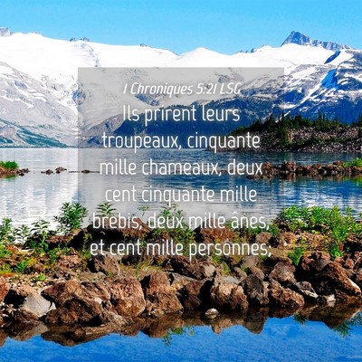 Picture 04 - 1 Chroniques 5:21 LSG - Ils prirent leurs troupeaux, cinquante mille - Bible Verse Picture