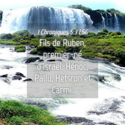 Picture 04 - 1 Chroniques 5:3 LSG - Fils de Ruben, premier-né d'Israël: Hénoc, - Bible Verse Picture