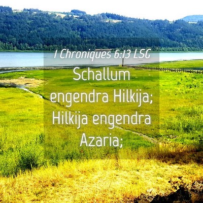 Picture 04 - 1 Chroniques 6:13 LSG - Schallum engendra Hilkija; Hilkija engendra - Bible Verse Picture