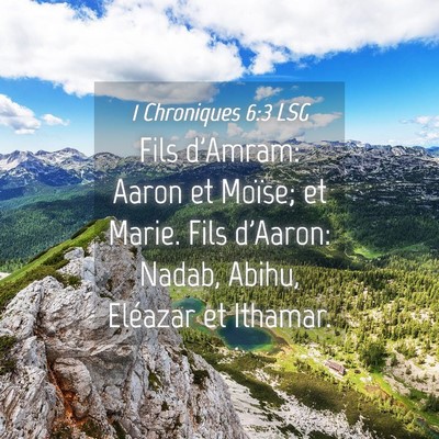 Picture 04 - 1 Chroniques 6:3 LSG - Fils d'Amram: Aaron et Moïse; et Marie. Fils - Bible Verse Picture