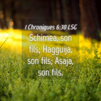 Picture 04 - 1 Chroniques 6:30 LSG - Schimea, son fils; Hagguija, son fils; Asaja, son - Bible Verse Picture