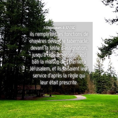 Picture 04 - 1 Chroniques 6:32 LSG - ils remplirent les fonctions de chantres devant - Bible Verse Picture