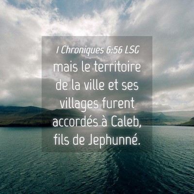 Picture 04 - 1 Chroniques 6:56 LSG - mais le territoire de la ville et ses villages - Bible Verse Picture