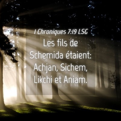 Picture 04 - 1 Chroniques 7:19 LSG - Les fils de Schemida étaient: Achjan, Sichem, - Bible Verse Picture