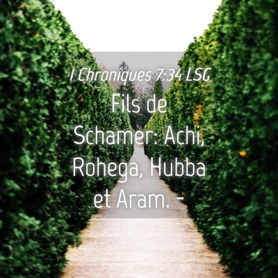 Picture 04 - 1 Chroniques 7:34 LSG - Fils de Schamer: Achi, Rohega, Hubba et Aram. - Bible Verse Picture