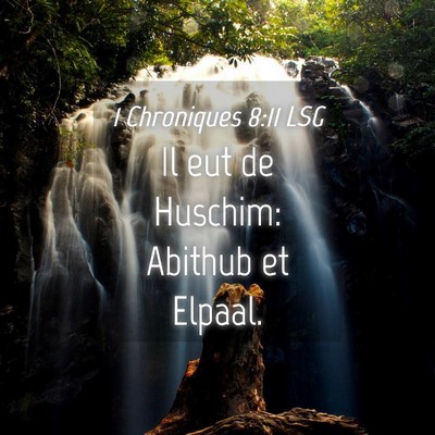 Picture 04 - 1 Chroniques 8:11 LSG - Il eut de Huschim: Abithub et - Bible Verse Picture