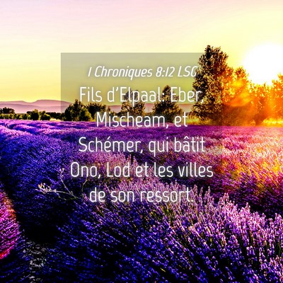 Picture 04 - 1 Chroniques 8:12 LSG - Fils d'Elpaal: Eber, Mischeam, et Schémer, qui - Bible Verse Picture