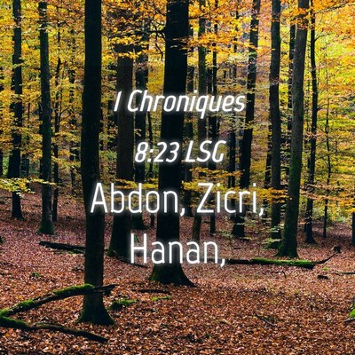 Picture 04 - 1 Chroniques 8:23 LSG - Abdon, Zicri, - Bible Verse Picture