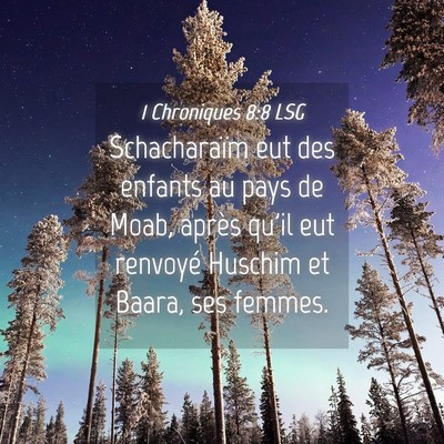 Picture 04 - 1 Chroniques 8:8 LSG - Schacharaïm eut des enfants au pays de Moab, - Bible Verse Picture