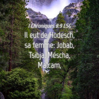 Picture 04 - 1 Chroniques 8:9 LSG - Il eut de Hodesch, sa femme: Jobab, Tsibja, - Bible Verse Picture