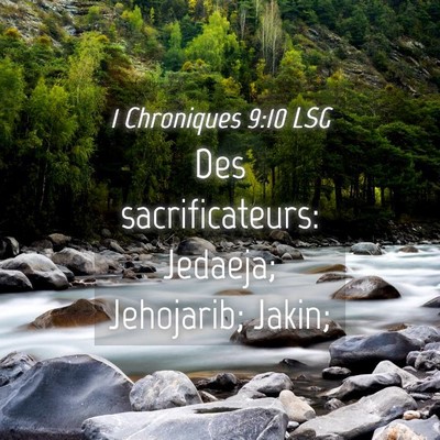 Picture 04 - 1 Chroniques 9:10 LSG - Des sacrificateurs: Jedaeja; Jehojarib; - Bible Verse Picture