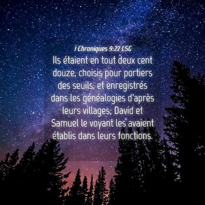 Picture 04 - 1 Chroniques 9:22 LSG - Ils étaient en tout deux cent douze, choisis - Bible Verse Picture