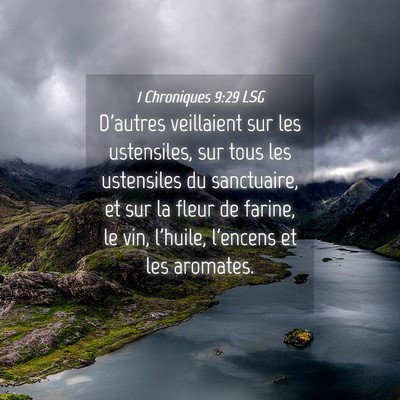 Picture 04 - 1 Chroniques 9:29 LSG - D'autres veillaient sur les ustensiles, sur tous - Bible Verse Picture